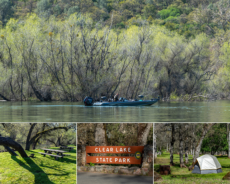 Images of Clear Lake State Park. Photos from California State Parks.